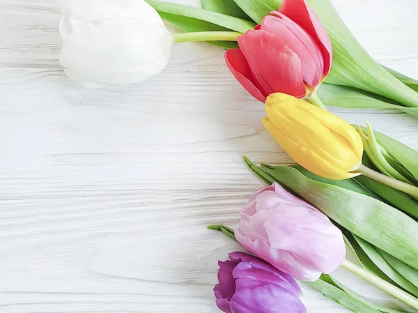 Tulpe Blume Auf Hölzernem Hintergrund — Stockfoto