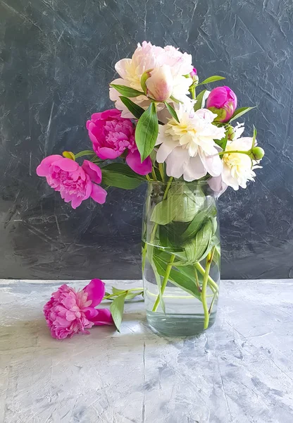 Peony Flower Vase Gray Concrete Background — Stock Photo, Image