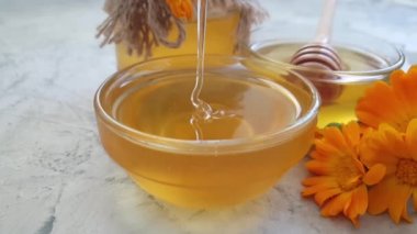 taze bal calendula çiçek, yavaş hareket