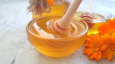 taze bal calendula çiçek, yavaş hareket