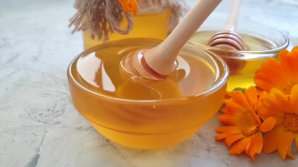 Frischer Honig Calendula Blume Zeitlupe — Stockvideo