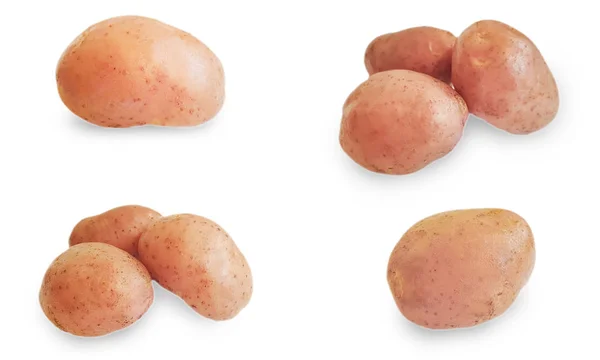 Raw Potato Set Isolated White Background — Stock Photo, Image