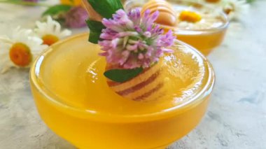 taze bal papatya çiçek, yonca, yavaş hareket