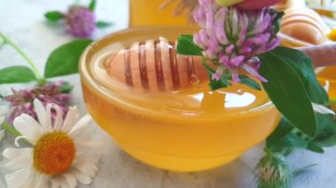 taze bal papatya çiçek, yonca, yavaş hareket