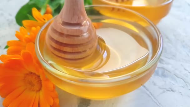 Fresh Honey Marigold Flower Slow Motion — Stock Video