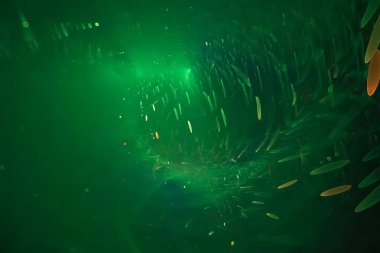 soyut fraktal fantezi tasarım arka plan ışıltı, parlama, fantezi