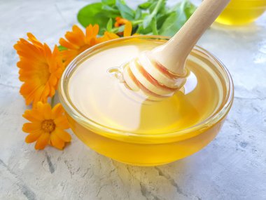 gri beton arka plan üzerinde taze bal çiçeği calendula