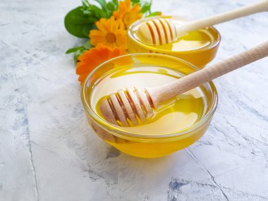 gri beton arka plan üzerinde taze bal çiçeği calendula