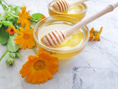 gri beton arka plan üzerinde taze bal çiçeği calendula