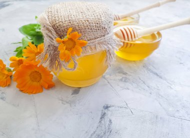 gri beton arka plan üzerinde taze bal çiçeği calendula