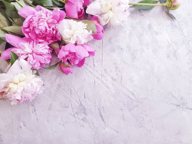 gri beton arka plan çerçevesi üzerinde şakayık buketi