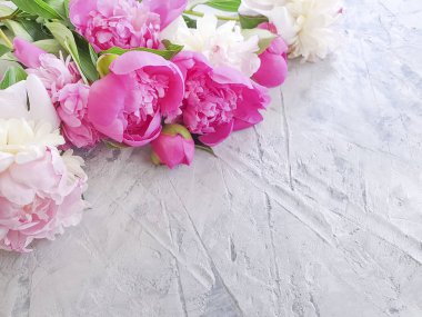 gri beton arka plan çerçevesi üzerinde şakayık buketi