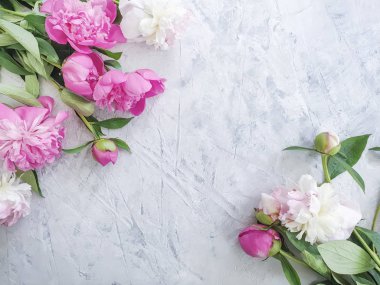 gri beton arka plan çerçevesi üzerinde şakayık buketi