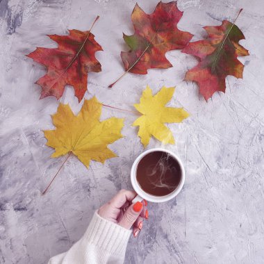 Kadın eli kahve fincanı beton arka planda sonbahar yaprakları