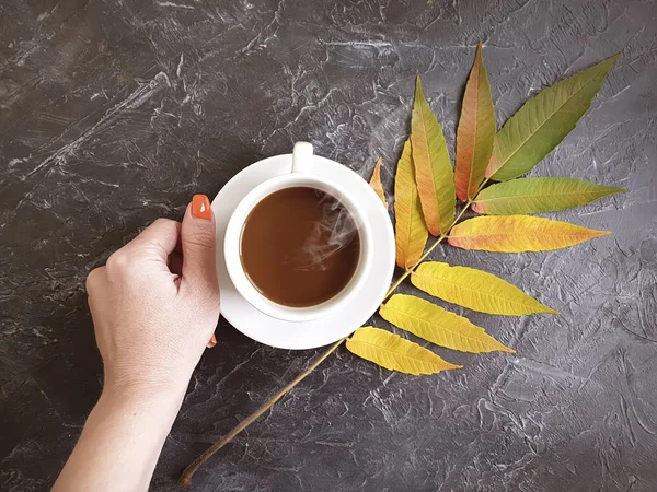 Weibliche Hände Tasse Kaffee Herbstblätter Auf Betongrund — Stockfoto