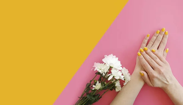 Manos Femeninas Manicura Flor Crisantemo Sobre Fondo Color — Foto de Stock