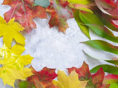 Gri beton arkaplan çerçevesinde sonbahar yaprakları