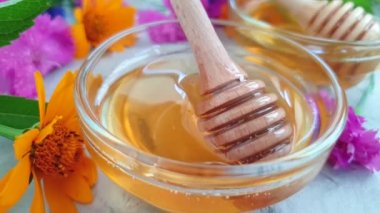 beton arka plan üzerinde taze bal çiçeği calendula