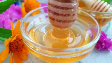 beton arka plan üzerinde taze bal çiçeği calendula