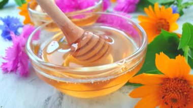 beton arka plan üzerinde taze bal çiçeği calendula