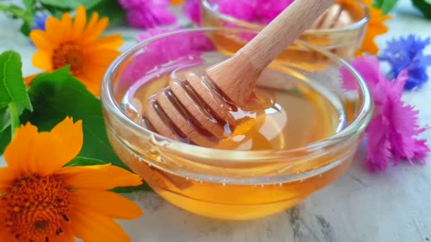 Fresh Honey Flower Calendula Concrete Background — Stock Video