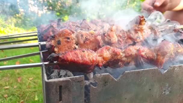 Mięso Smażone Letnim Pikniku — Wideo stockowe