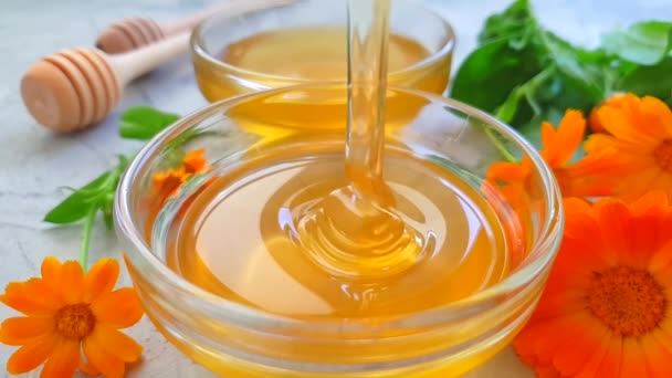 Miele Fresco Fiore Calendula Sfondo Cemento — Video Stock