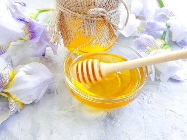 beton arka plan üzerinde taze bal iris çiçek