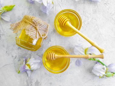 beton arka plan üzerinde taze bal iris çiçek