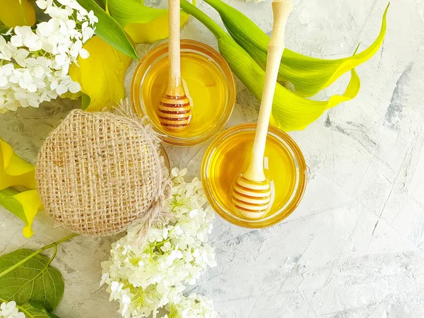 Fresh Honey Hydrangea Flower Concrete Background — Stock Photo, Image