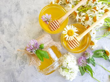 Beton arka planda taze bal papatya çiçeği yoncası