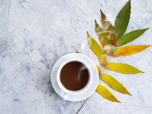 Tasse Kaffee Herbstblätter Auf Betongrund — Stockfoto