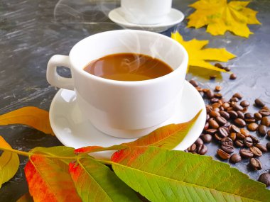 Beton zeminde bir fincan sonbahar yaprağı.