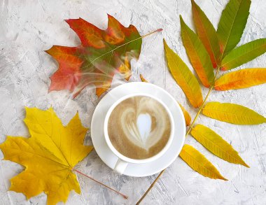 Beton zeminde bir fincan sonbahar yaprağı.