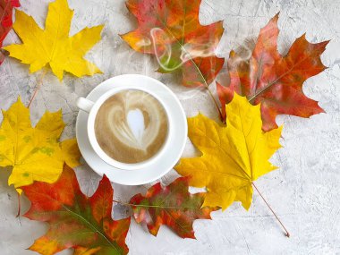 Beton zeminde bir fincan sonbahar yaprağı.