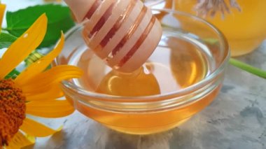 taze bal kadife çiçeği, yavaş hareket