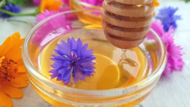 taze bal kadife çiçeği, yavaş hareket