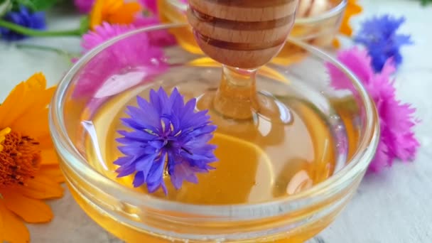 Färsk Honung Marigold Blomma Slow Motion — Stockvideo