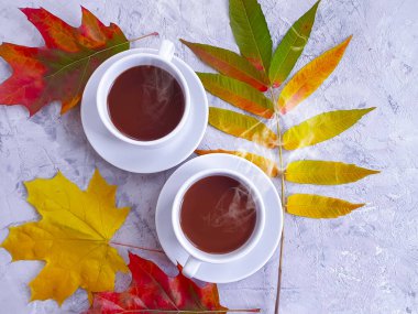 Beton zeminde bir fincan sonbahar yaprağı.