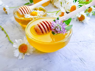 Beton arka planda taze bal papatyası çiçeği