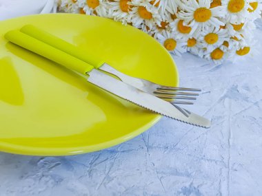 Beton arkaplanda papatya çiçeği