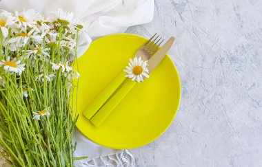 Beton arkaplanda papatya çiçeği