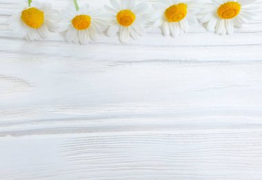 Ahşap arkaplanda papatya çiçeği