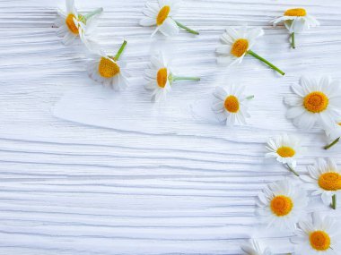 Ahşap arkaplanda papatya çiçeği