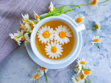 Beton zeminde bir fincan papatya çiçeği