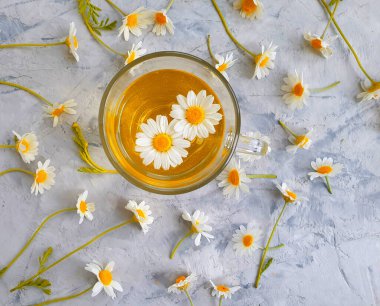 Beton zeminde bir fincan papatya çiçeği