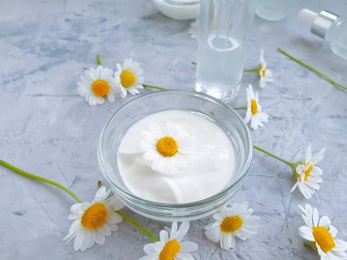 Beton arka planda krem kozmetik papatya çiçeği