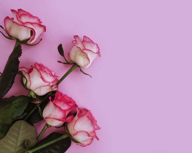 Renkli bir çerçeve üzerinde gül buketi