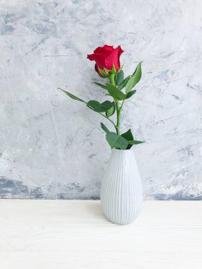 beton arkaplanda gül olan vazo