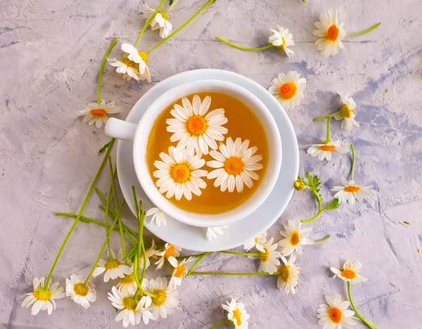 Chamomile Flower Tea Concrete Background — Stock Photo, Image